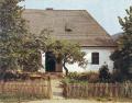 Kisnemesi h�z 