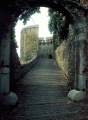 P�cs, barbak�n 