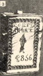 3. Zsolt�rt ut�nz� k�nyvbutella, rajta a hal Krisztus-jelk�p (H�dmez�v�s�rhely, Csongr�d m., 1856). Bp. N�prajzi M�zeum