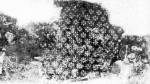 79. Szent L�szl�-legenda. Nyakaz�s �s pihen�s. Templomi falfestm�ny a 15. sz�zadb�l, Sz�kelyderzs (Udvarhely megye). (OMF F�nyk�pt�r)