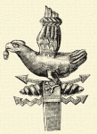 91. Aquila.