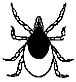 kullancs