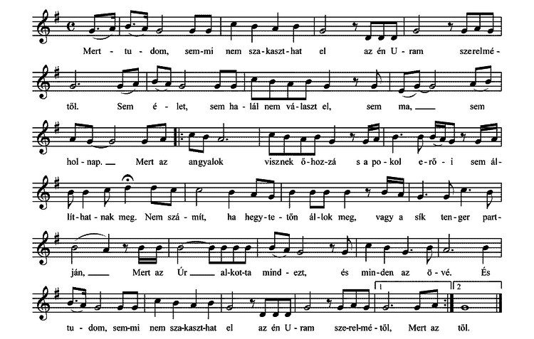 Kép 6