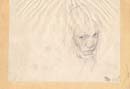 Picture 29