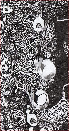 URUK - Az ember k�nyve