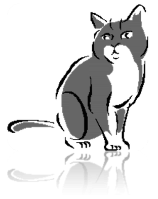 Kép 4