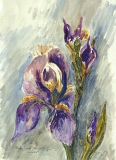 2598iris.jpg