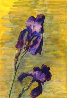 3982iris.jpg