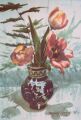 0681tulp.jpg