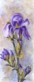 3654iris.jpg