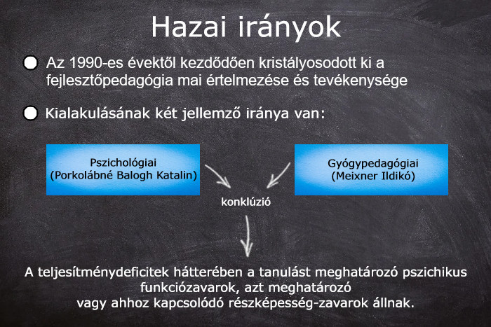 2. ábra - A fejlesztőpedagógia kialakulásának hazai vonalai