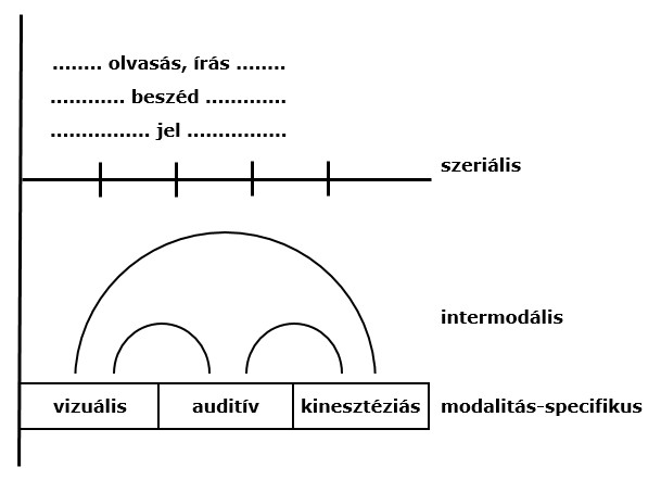 5. ábra - Az észlelési folyamat egyszerűsített sémája Affolter szerint 5. ábra - Az észlelési folyamat egyszerűsített sémája Affolter szerint